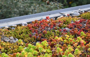 the cost of Northfield green roof installation