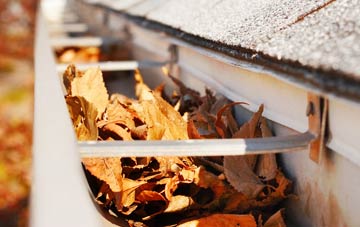 Northfield gutter cleaning companies