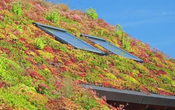 Northfield living roof systems