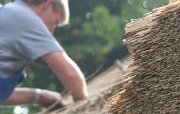 professional Northfield thatchers